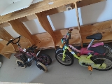 draisienne et trois v�los